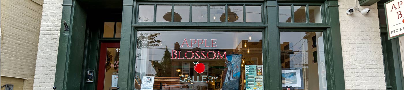 Banner for Video Gallery