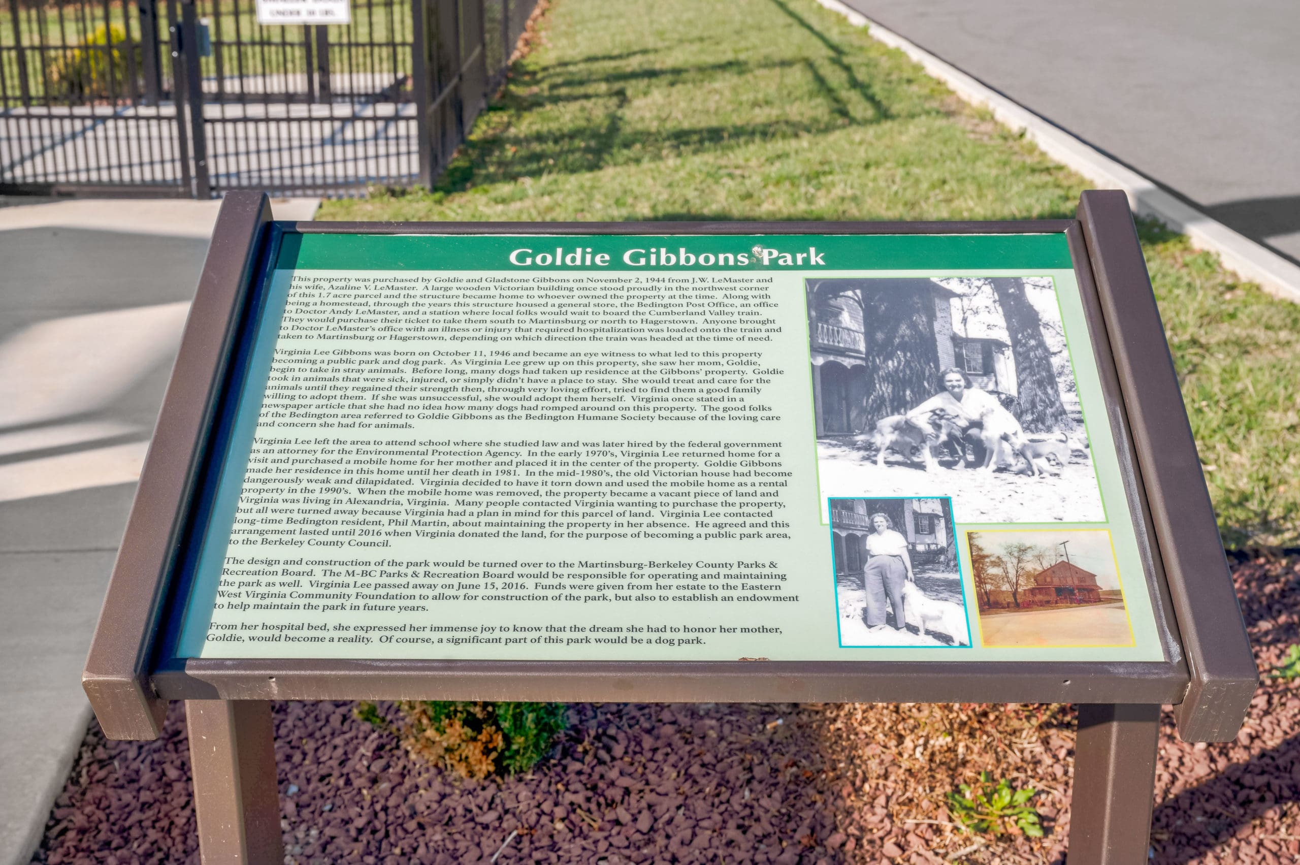 Goldie Gibbons Dog Park10